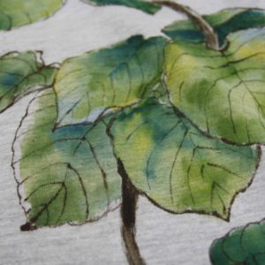 観葉植物ウンベラータのTシャツにイングリッシュローズのオーダー
